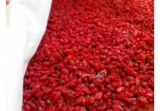 خرید عمده زرشک، فروش زعفران مرغوب