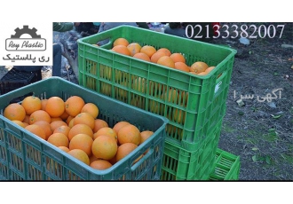 قیمت سبد پلاستیکی مرکبات ( پرتقال ، لیمو ، نارنگی)