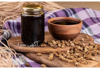 تولید کننده شیره توت ارگانیک با سیب سلامت