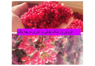 فروش عمده زرشک در بسته بندی های بهداشتی در ارومیه فروش عمده زرشک درجه