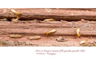 انجام خدمات سمپاشی منزل و محل کار ، سمپاشی فست فود