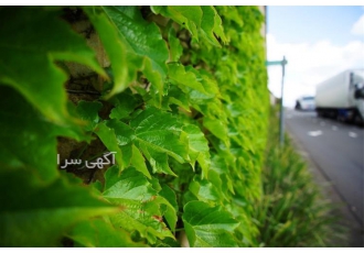 طراحی و اجرای دیوار سبز توسط تیم مجرب