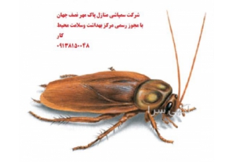 سمپاشی منزل و محل کار و ابنیه قدیمی در گز برخوار سمپاشی منزل و محل کار