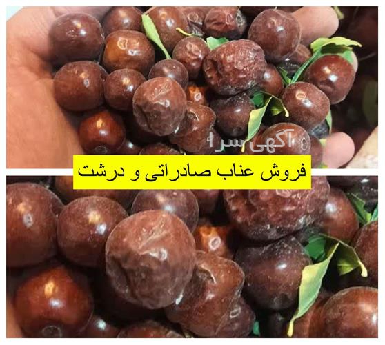 آگهی های کشاورزی و دامداری - قاین