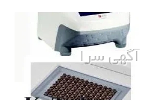 ترموسایکلر گرادیانت Dlab در تهران ترموسایکلر TC1000G انواع