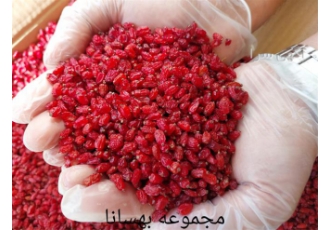 زرشک درجه یک با کیفیتی عالی در اردبیل جهت استعلام قیمت روز آشنایی