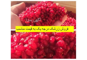 فروش زرشک پفکی و اناری در مشهد فروش عمده زرشک در انواع مختلف عرضه زرشک
