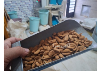 فروش مغز بادام مامایی و سنگی درجه یک در شهرکرد مغز بادام مامایی به دلیل