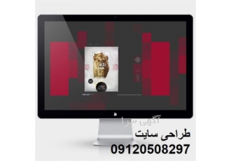 طراحی سایت و سئو به شکل تخصصی