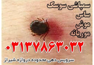 سمپاشی موریانه و سایر حشرات با سم های ارگانیک