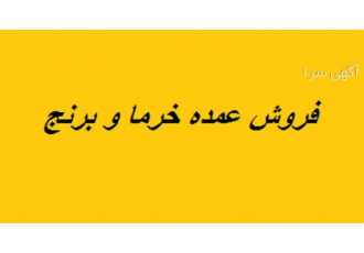 فروش خرمای کبکاب ، زاهدی ، استعمران ، برحی و صنعتی