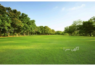 نگهداری فضای سبز و محوطه