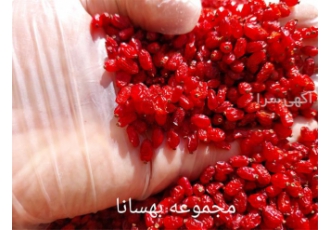 فروش زرشک پفکی 1402