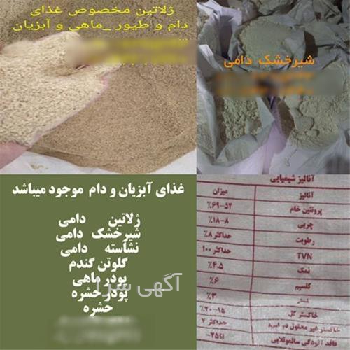 فروش دام ماهیگیری