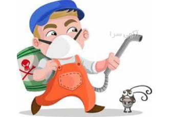 سمپاشی موریانه تخفیف ویژه دهه فجر