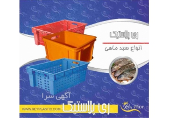 سبد بسته بندی ماهی