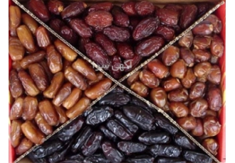خرید و فروش عمده خرما خاصویی