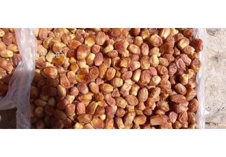 فروش ضایعات خرما زاهدی لواشکی و شیره دار