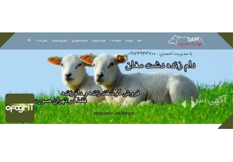 طراحی سایت دام زنده