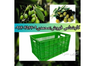 فروش سبد زیتون ، تولید سبد 20 کیلویی