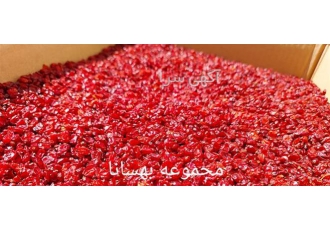 فروش زرشک به صورت عمده و کاملا بدون واسطه