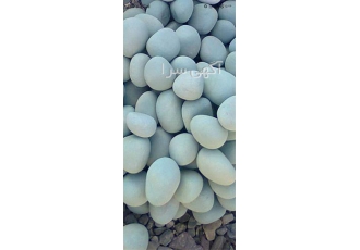 فروش سنگ قلوه ای رنگی آبشار ، اکواریوم دیوار