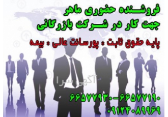 ویزیتور و بازاریاب