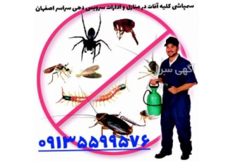 سمپاشی سوسک ریز و کلیه حشرات موذی با مواد ارگانیک در اصفهان سمپاشی سوسک