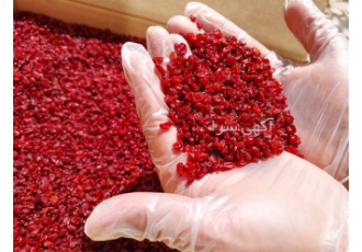 بهترین قیمت زرشک درجه یک دانه اناری