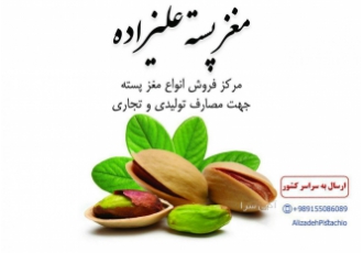 خرید فروش مغز پسته کارگاهی مغز پسته آپیک مرکز فراوری سورت بسته بندی