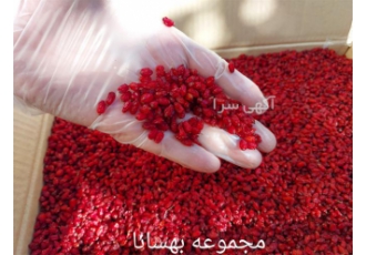 فروش زرشک ارزان قیمت فروش زرشک ارزان قیمت