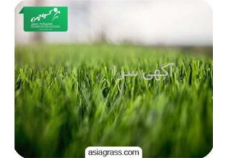 تولید و فروش ویژه چمن مصنوعی در تهران تولید و فروش ویژه چمن مصنوعی