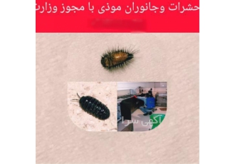 سمپاشی هتل و مهمانسرا سمپاشی هتل ها در اصفهان شرکت سمپاشی پاک مهر نصف