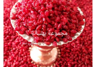 فروش زرشک ، فروش عمده زرشک امسالی به قیمت روز