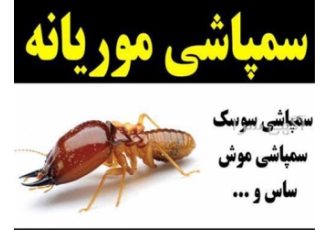 سمپاشی موریانه و سوسک و غیره در اصفهان شرکت آرمان سبز گرجی سمپاشی تخصصی