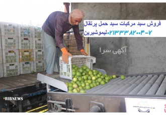 قیمت سبد پلاستیکی بیست کیلویی در تهران تولید و فروش انواع سبد برای حمل