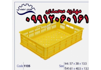 تولید سبد های بسته بندی مرغ و گوشت ، سبد انجماد