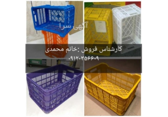 تولید و فروش سبد مرکبات سبد گلخانه در اصفهان تولید و فروش سبد مرکبات