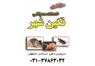 شرکت های سمپاشی دارای مجوز ، منزل و ادارات
