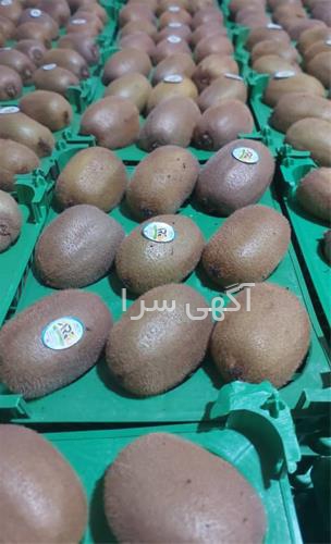 آگهی های کشاورزی و دامداری - تالش