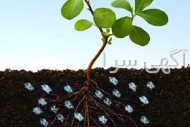 آگهی های خدمات صنعتی و کشاورزی - فردیس