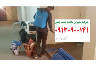 سمپاشی و موریانه زدایی بصورت تخصصی