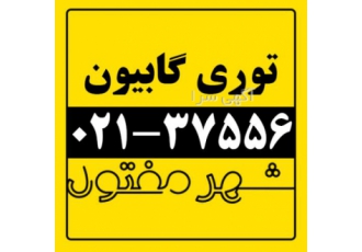 توری گابیون / قیمت توری گابیون / شهر مفتول