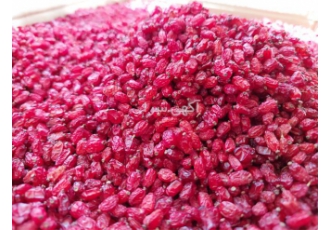 فروش زرشک امسالی درجه یک
