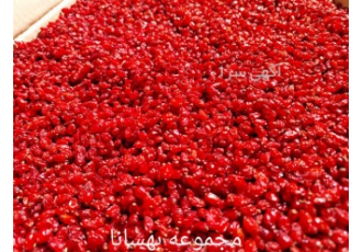 فروش عمده زرشک، فروش خشکبار