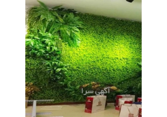 طراحی و اجرای دیوار سبز طبیعی