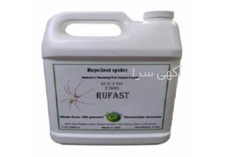 سمپاشی رتیل با تیم تخصصی و در کوتاهترین زمان در تهران سمپاشی رتیل