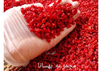 فروش زرشک صادراتی در تبریز