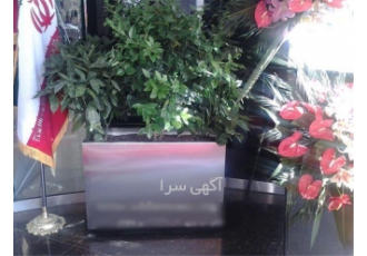 خدمات فضای سبز داخلی در تهران طراحی و اجرای دکوراسیون فضای سبز داخلی گل