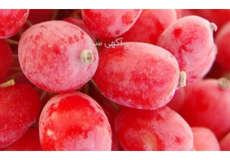 فروش عمده زرشک ، صادرات میوه